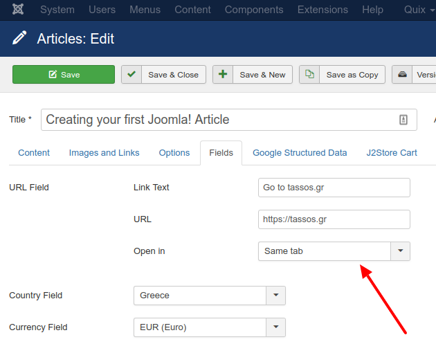 acf-url-field-usage