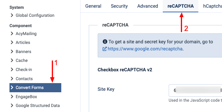 convert forms recaptcha configuration add keys