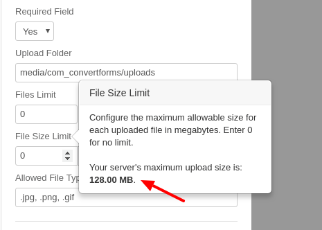 Set the maximum allowed file size in your Joomla! Form